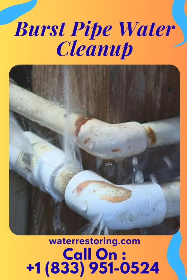 Burst Pipe Water Cleanup in Witt, IL