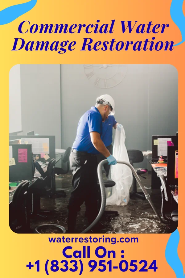 Commercial Water Damage Restoration in Witt, IL
