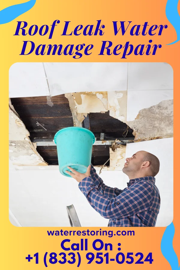 Roof Leak Water Damage Repair in Witt, IL