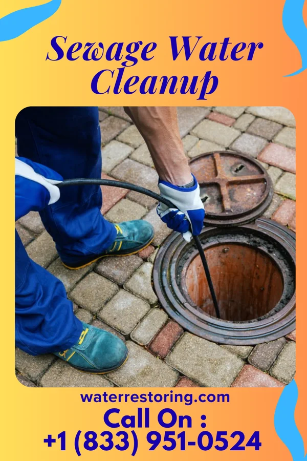 Sewage Water Cleanup in Witt, IL
